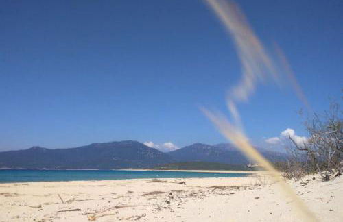 Villa T4 à Campomoro corse du sud, 800m plage - Foto 6