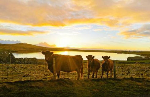 North Uist Lodges - Foto 8