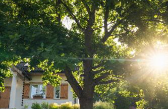 Modrzewiowe Zacisze - Foto 24