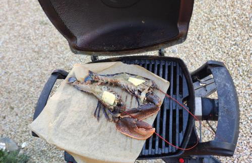 Location en bordure du Trieux - Foto 14