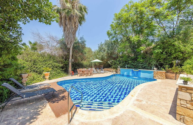 Villa Anna Argaka - Foto 38