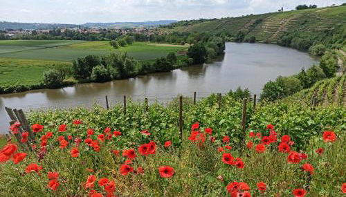 Ferienwohnung Schmid - Foto 2