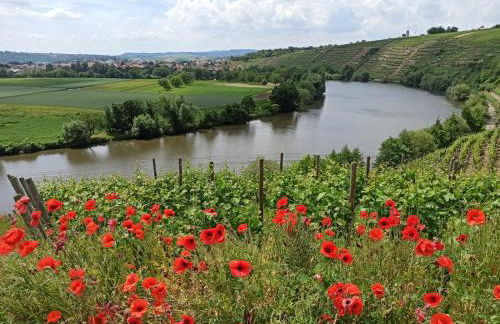 Ferienwohnung Schmid - Foto 2