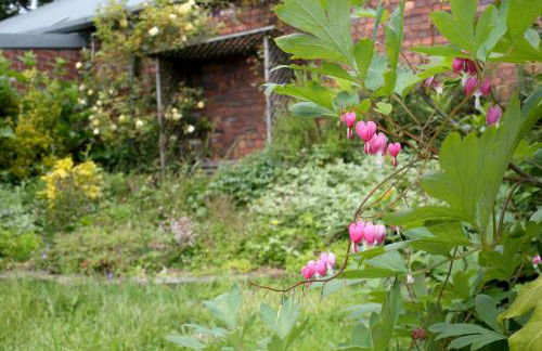 The Torrs - Photo 28