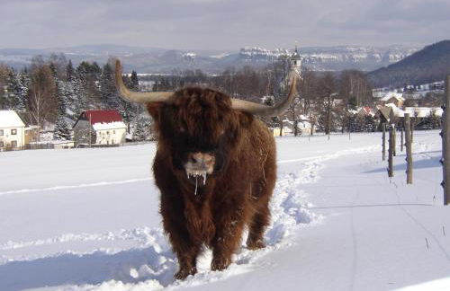 Alter Gutshof Papstdorf - Foto 7