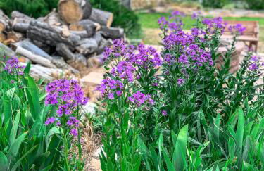 The Jailer's Cottage * Entire Home * Sleeps 12 - Foto 34