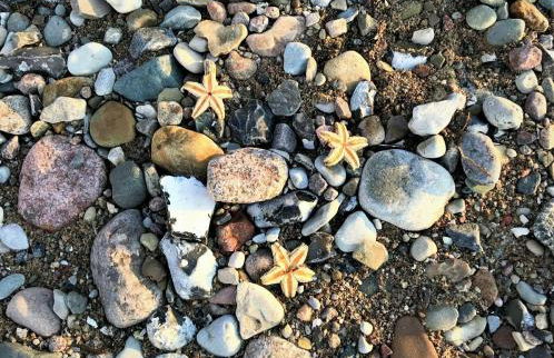 Ferienwohnung Uta - Foto 22