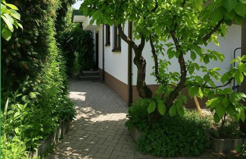 Mc Garry Apartments and Garden - Foto 6