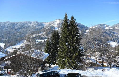 Les bouquetins - Foto 58