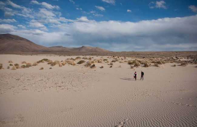 Excursión a la Reserva de Sama + Laguna Grande de Tajzara - Foto 5
