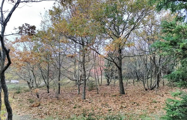 5 Person Holiday Home in Thyholm - Photo 22