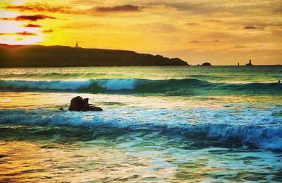 Dernier Ecolodge avant NewYork - Foto 26