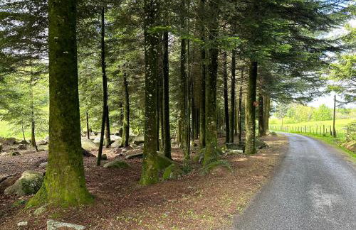Le repaire du châtaignier, Maison à la campagne, 8 pers, 4 ch, Sidobre - Foto 31