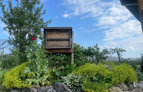 Hofgut Bergchalet Mirabell - Natururlaub am Bodensee - Foto 25