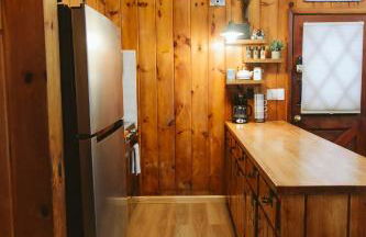 ADK Forest Cabin near Lake Placid with Hot Tub and Ice Bath - Foto 7