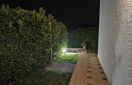 Endless Summer - Photo 15