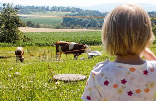 Ferienhof Siber - Foto 12