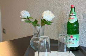 Schönes Appartement am Stadtpark Bochum - Foto 8