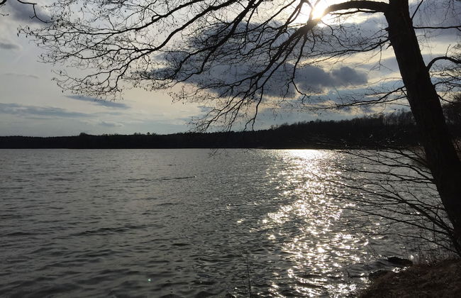 Ferienhaus Mirow-Lärz - Kamin Wald Ruhe - Foto 43