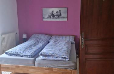 Chevaux au Soleil - Foto 24