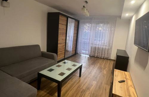 Komfortowe mieszkanie 45m2 przy Lotnisku Katowice - Foto 1