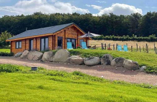 Le Chalet du Crescent - Foto 1