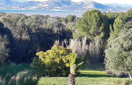 BASTIDE PRESQU ILE DE GIENS SUPERBE VUE MER PISCINE - Photo 52