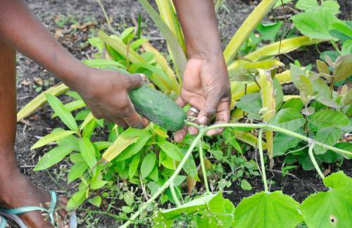 Aldeia Corumbau - Photo 40