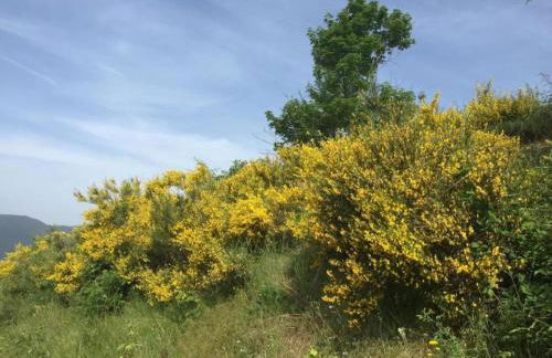 Castelvecchio Family Retreat - Foto 73