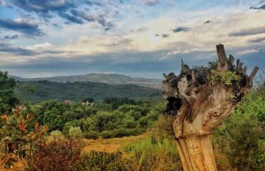 Casa do Estevo - Foto 25