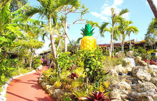 Mr.KINJO in GUSUKU - Foto 38