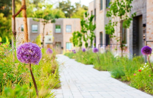 Aalernhus Residences in St.peter-ording - Photo 22