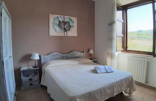 Agriturismo La Petrosa - Foto 16