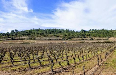 2 Bedroom Awesome Home In Saint-Laurent-De-La-Ca - Foto 23