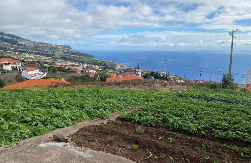 Guest House Santinhos - Foto 32