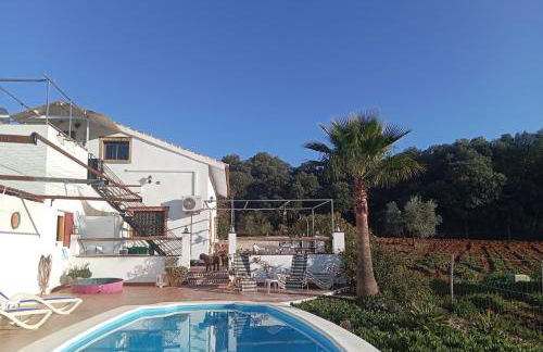 Finca Los Jacaros - Foto 15