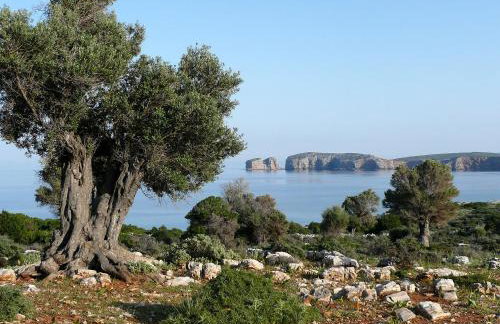 Traditional stone-built cottages Azalas - Foto 51