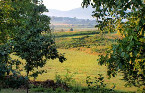 House Sara - Foto 51