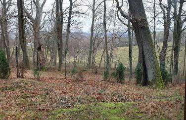 Waldhaus Hempe - Photo 11