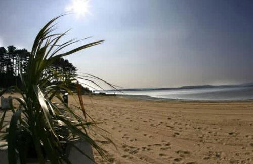 Sun-Soaked- Charming Views Overlooking the Harbour - Photo 32