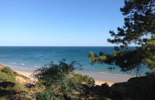 Sailing Studio Açoteias - Foto 21