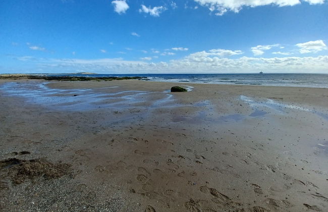 Beachhaven116, Lovely Beachside House, Lower Largo - Foto 38