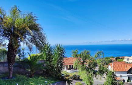 Vista Romantica Madeira - Photo 23