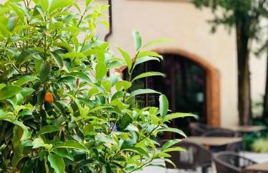 Agriturismo Borgo il Mezzanino - Foto 56