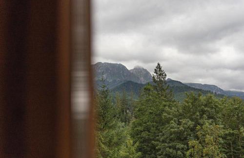 Mountain Shelter Zakopane - Foto 52
