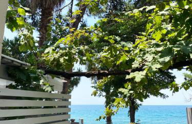 Ktima Papaoikonomou 2 - Foto 3