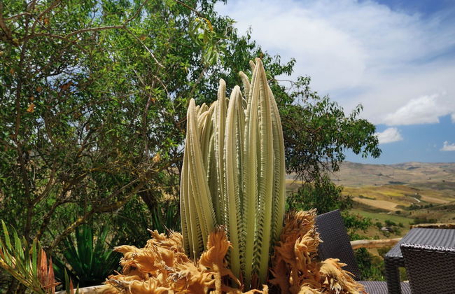 Agriturismo Villa Dafne - Photo 7