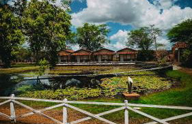 Pousada Fazenda Glória - Foto 13