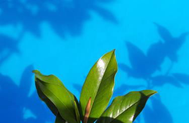 En bord de rivière - Foto 58