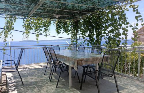 captain Ivo - Foto 23